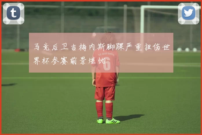 马竞后卫吉梅内斯脚踝严重扭伤世界杯参赛前景堪忧