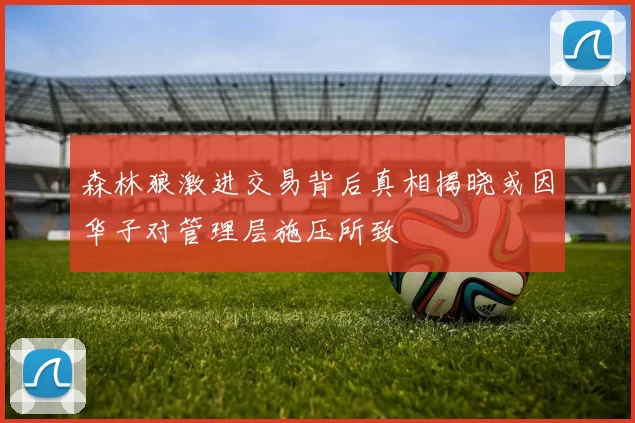 森林狼激进交易背后真相揭晓或因华子对管理层施压所致